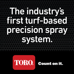 Toro